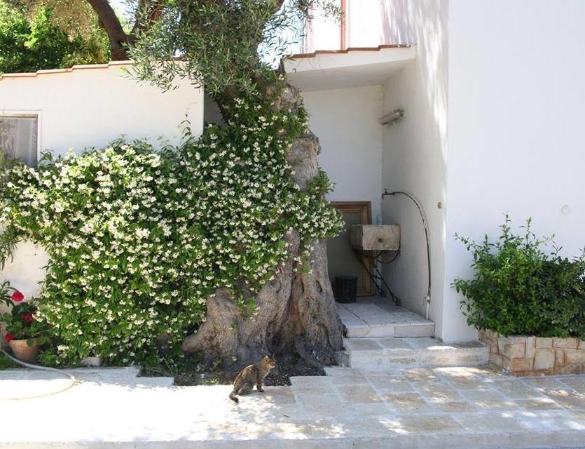 Masseria Conca D'Oro Ostuni Exterior photo